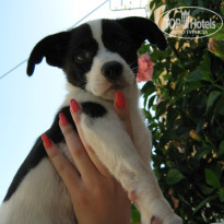 фото из отзыва ID 2723342