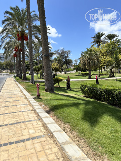 New photos from tourists Rixos Montaza Alexandria 5*