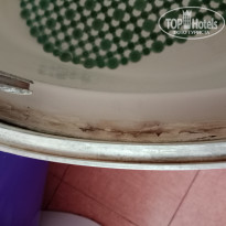 фото из отзыва ID 2723365