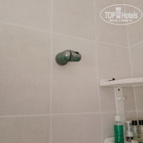 фото из отзыва ID 2723365