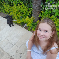 фото из отзыва ID 2723370