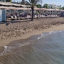 фото из отзыва ID 2723396