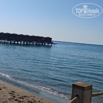 фото из отзыва ID 2723396