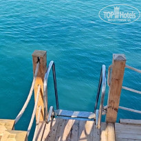 фото из отзыва ID 2723396