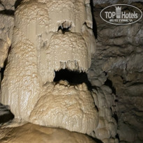 фото из отзыва ID 2723300