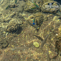 фото из отзыва ID 2723407