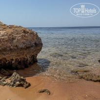 фото из отзыва ID 2723407