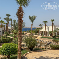 фото из отзыва ID 2723407