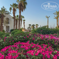 фото из отзыва ID 2723407