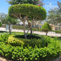 фото из отзыва ID 2723415