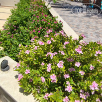 фото из отзыва ID 2723415