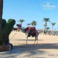 фото из отзыва ID 2723415