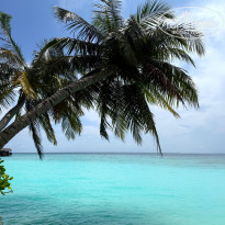 фото из отзыва ID 2723427