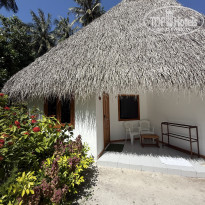 фото из отзыва ID 2723427