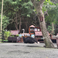 фото из отзыва ID 2723433