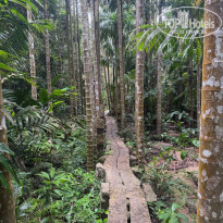 фото из отзыва ID 2723433