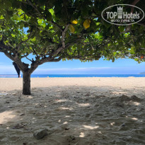 фото из отзыва ID 2723433