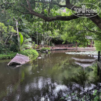 фото из отзыва ID 2723433