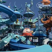 фото из отзыва ID 2723453