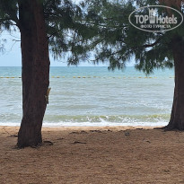 фото из отзыва ID 2723451