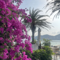 фото из отзыва ID 2723462