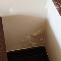 фото из отзыва ID 2723477