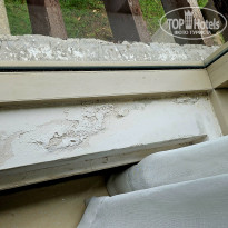 фото из отзыва ID 2723477