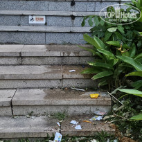 фото из отзыва ID 2723477