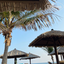 фото из отзыва ID 2723479