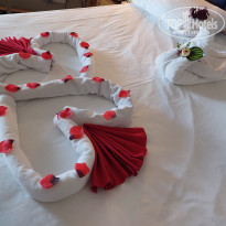 фото из отзыва ID 2723484