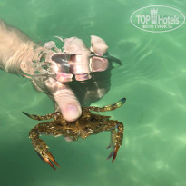 фото из отзыва ID 2723488