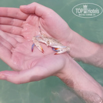 фото из отзыва ID 2723488