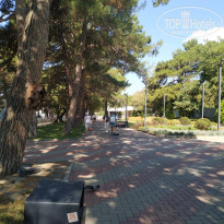 фото из отзыва ID 2722824