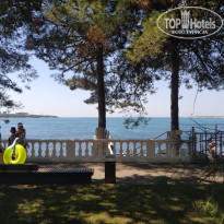 фото из отзыва ID 2722824