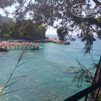 фото из отзыва ID 2723499