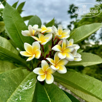 фото из отзыва ID 2723511
