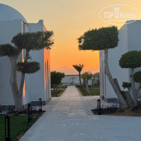 фото из отзыва ID 2723513