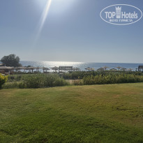 фото из отзыва ID 2723513