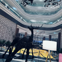 фото из отзыва ID 2723515