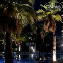 фото из отзыва ID 2723531