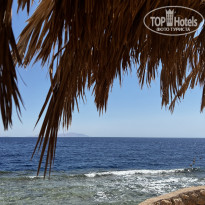 фото из отзыва ID 2723531