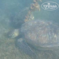 фото из отзыва ID 2723535