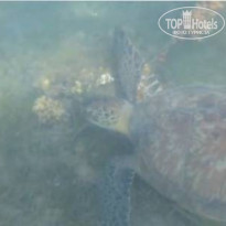 фото из отзыва ID 2723535