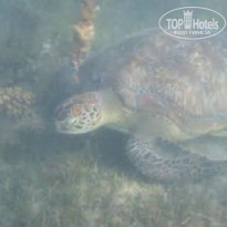 фото из отзыва ID 2723535