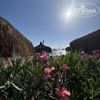 фото из отзыва ID 2723543