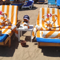 фото из отзыва ID 2723501