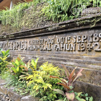 фото из отзыва ID 2723565