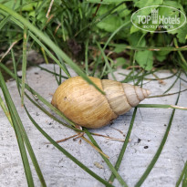 фото из отзыва ID 2723565