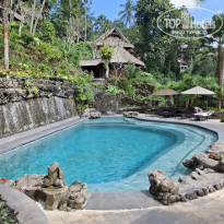 фото из отзыва ID 2723565