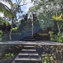 фото из отзыва ID 2723565